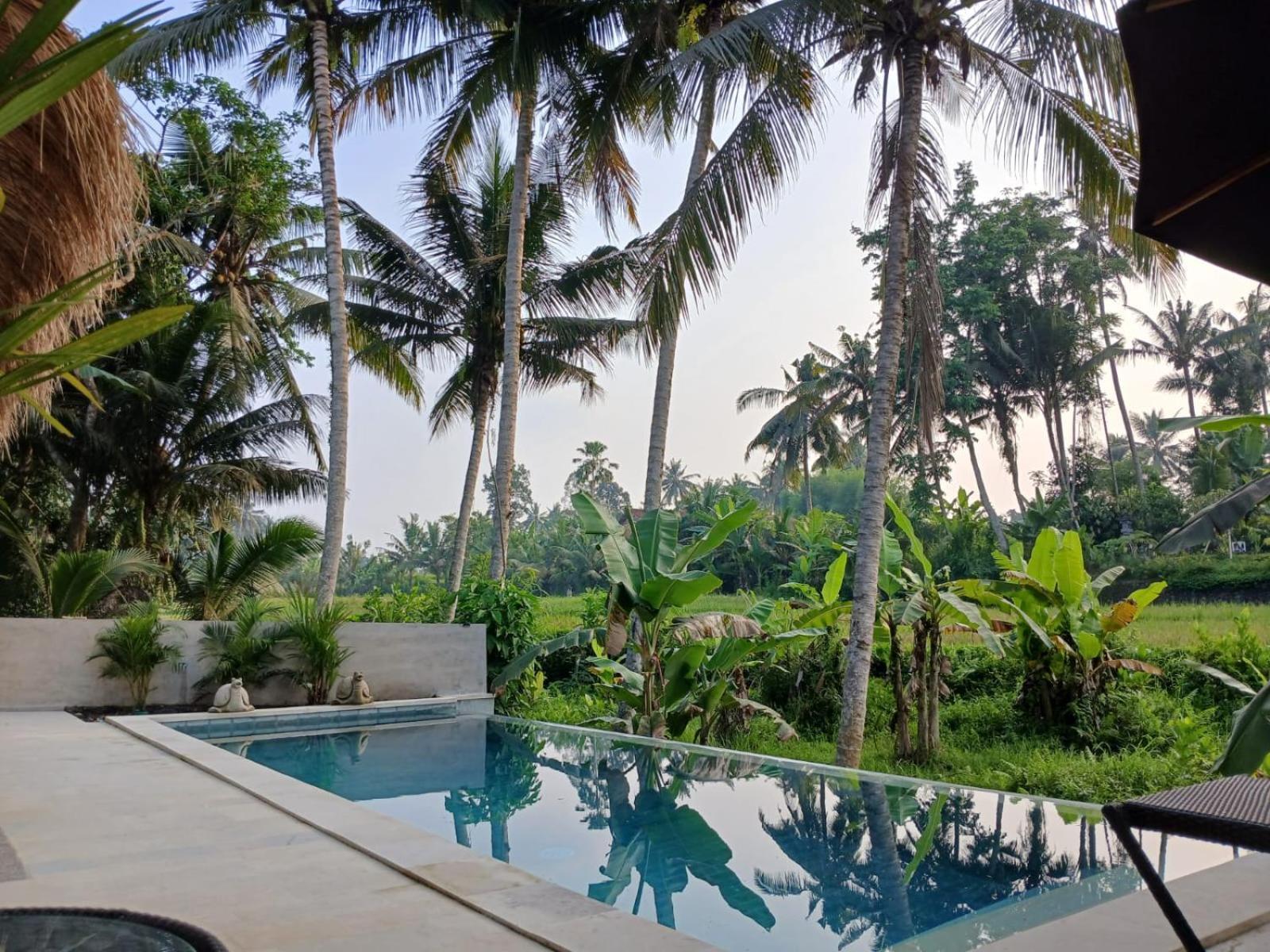 Bali View Ubud Hotel Exterior photo
