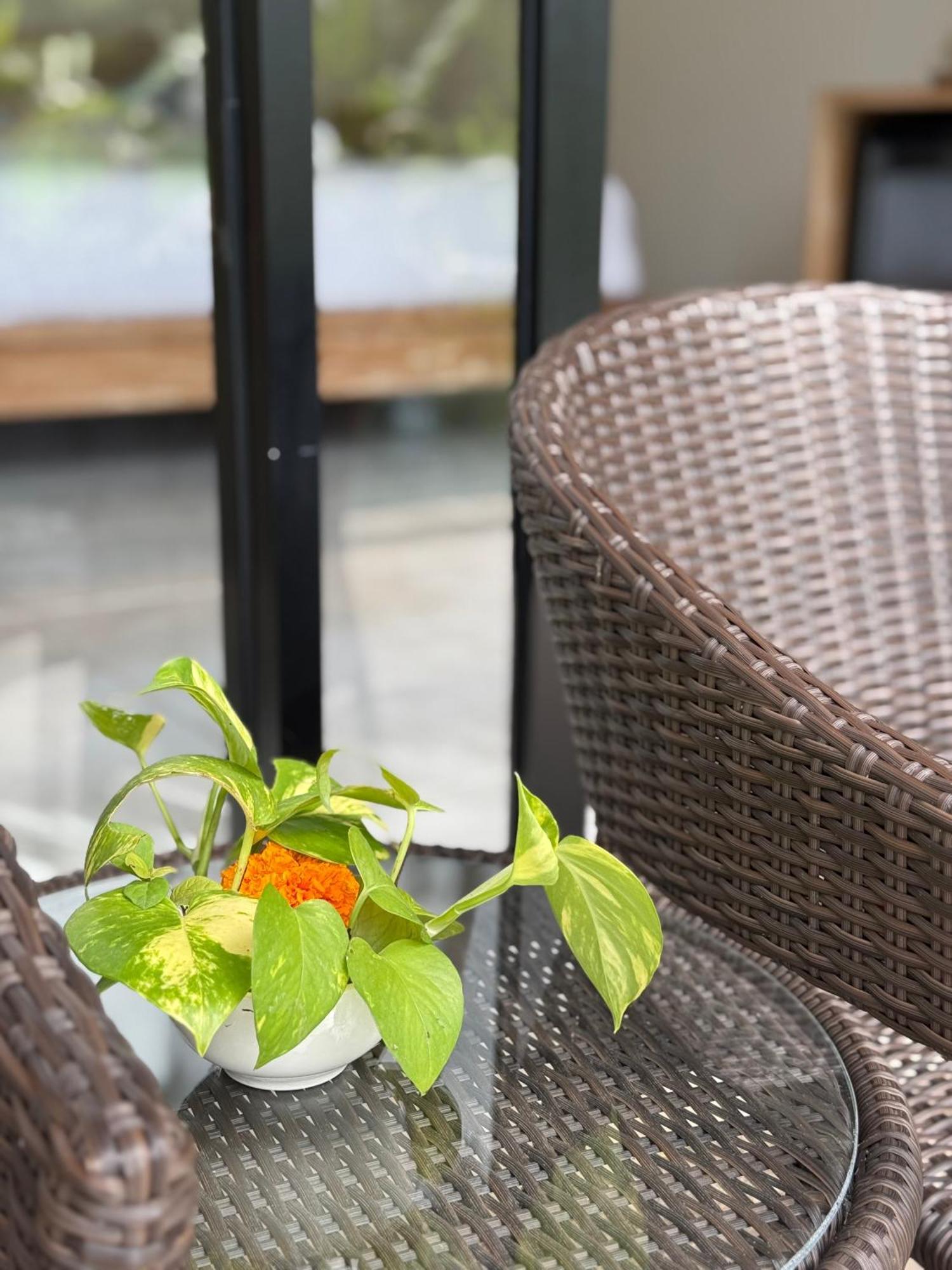 Bali View Ubud Hotel Exterior photo